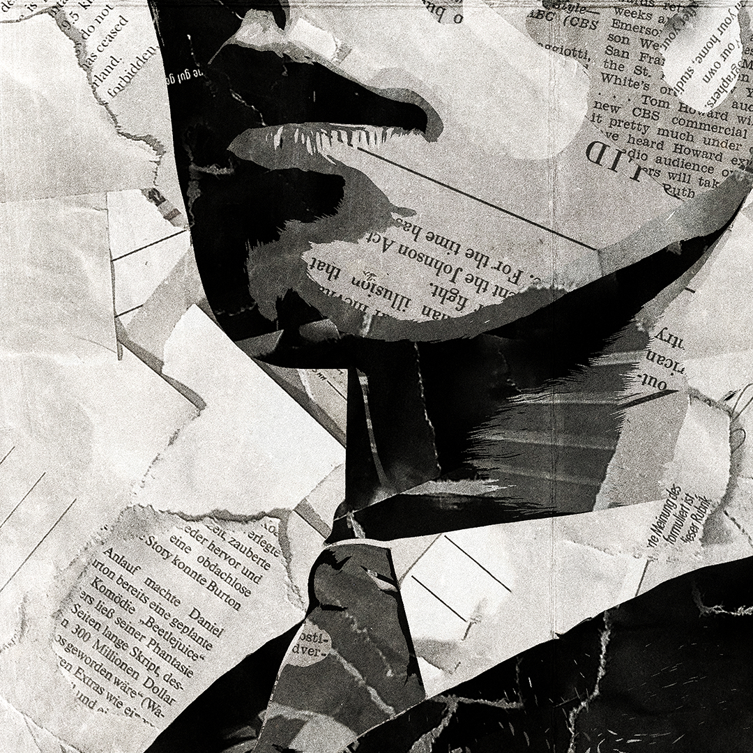 A Shawn Mendes poster design - a portrait of Shawn Mendes created using a collage of torn pieces of magazine pages in black and white.