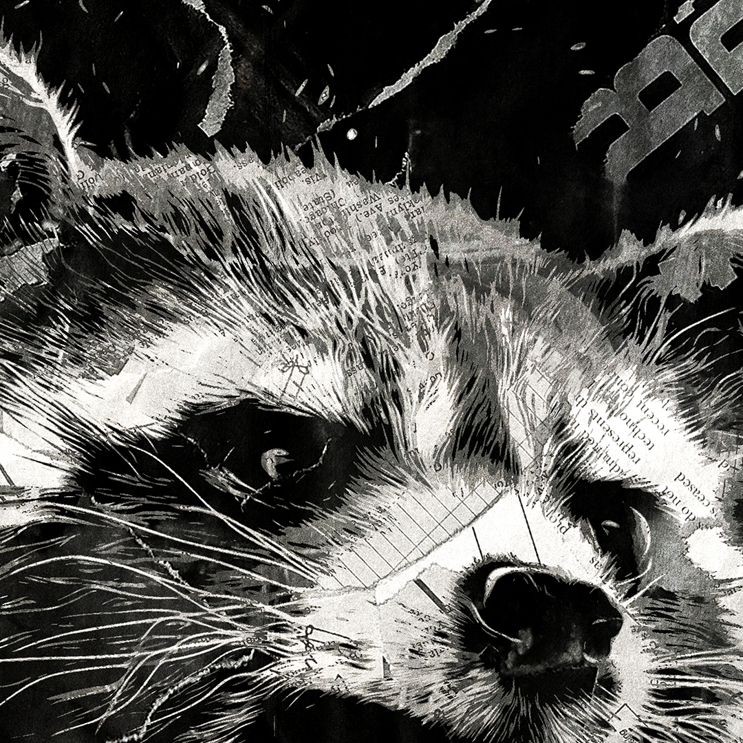 A Rocket poster design - a portrait of Rocket created using a collage of torn pieces of magazine pages in black and white.